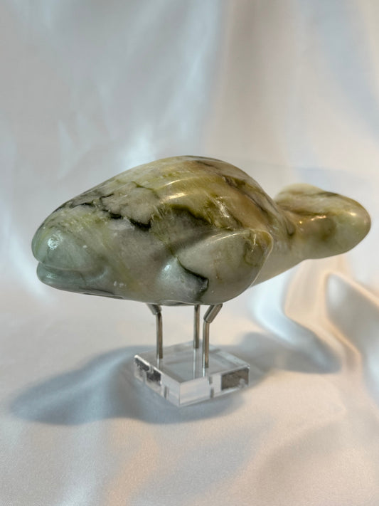 Whale She Blows! Beautiful Green Moss Whale Swimming The Ocean Deep