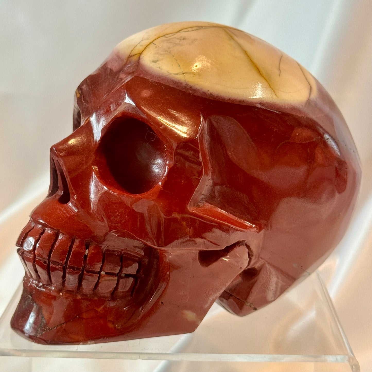 Mookite Skull with Skull Cap - He is so Cool